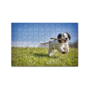 Cakapuzzle Çayırda Oyun Oynayan Sevimli Köpek 120 Parça Ahşap Puzzle