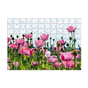 Cakapuzzle Çayırda Pembe Gelincikler ve Gökyüzü 120 Parça Ahşap Puzzle