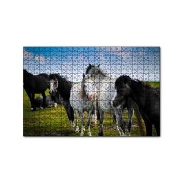 Cakapuzzle Çayırda Siyah ve Beyaz Atlar 120 Parça Ahşap Puzzle