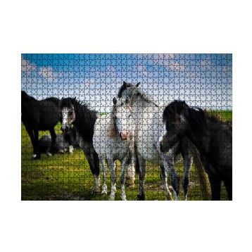 Cakapuzzle Çayırda Siyah ve Beyaz Atlar 120 Parça Ahşap Puzzle
