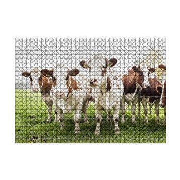 Cakapuzzle Çayırda Tel Örgünün Kenarında İnekler 120 Parça Ahşap Puzzle