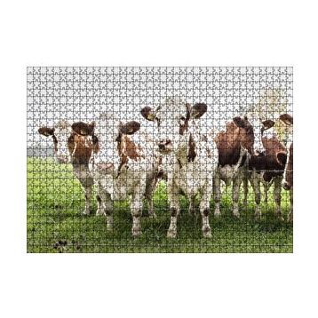 Cakapuzzle Çayırda Tel Örgünün Kenarında İnekler 120 Parça Ahşap Puzzle