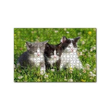 Cakapuzzle Çayırda Üç Yavru Kedi 120 Parça Ahşap Puzzle