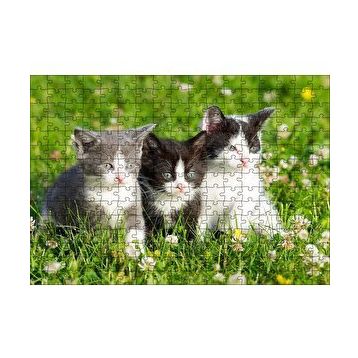 Cakapuzzle Çayırda Üç Yavru Kedi 120 Parça Ahşap Puzzle