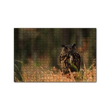 Cakapuzzle Çayırdaki Kırmızı Gözlü Baykuş 120 Parça Ahşap Puzzle