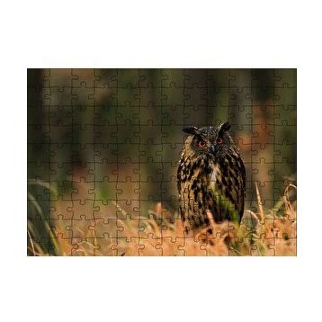 Cakapuzzle Çayırdaki Kırmızı Gözlü Baykuş 120 Parça Ahşap Puzzle