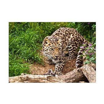 Cakapuzzle Çayırdaki Leopar Pusuda 120 Parça Ahşap Puzzle