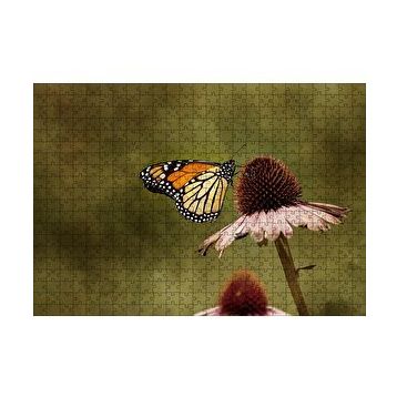 Cakapuzzle Çiçek Üzerindeki Muhteşem Kelebek 120 Parça Ahşap Puzzle