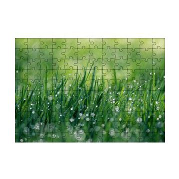 Cakapuzzle Çimenler ve Su Damlaları 120 Parça Ahşap Puzzle