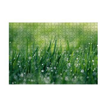 Cakapuzzle Çimenler ve Su Damlaları 120 Parça Ahşap Puzzle