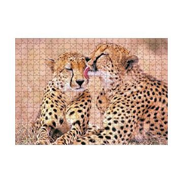 Cakapuzzle Çita Ailesi Temizleniyor 120 Parça Ahşap Puzzle