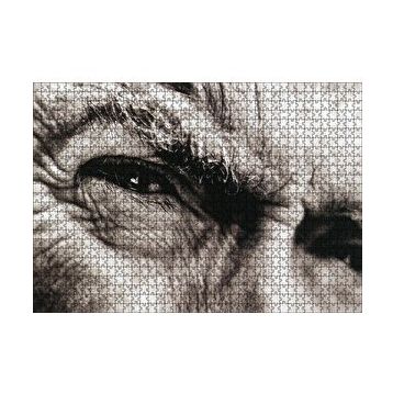 Cakapuzzle Clint Eastwood Portre Gözler 120 Parça Ahşap Puzzle