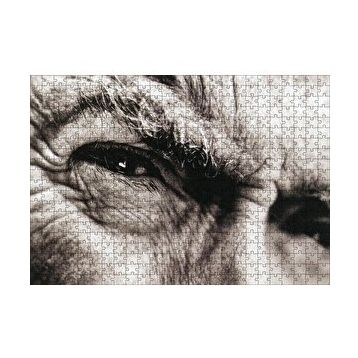 Cakapuzzle Clint Eastwood Portre Gözler 120 Parça Ahşap Puzzle