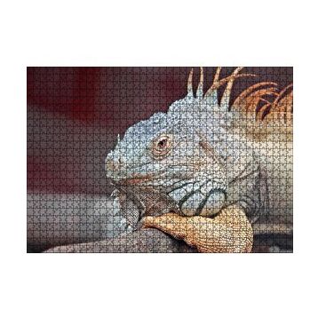 Cakapuzzle Dal Üzerinde Dinlenen Dev Kertenkele 120 Parça Ahşap Puzzle