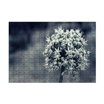 Cakapuzzle Dal ve Tomurcuk Şeklinde Çiçek Siyah Beyaz 120 Parça Ahşap Puzzle
