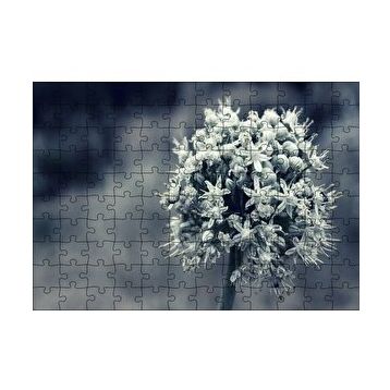 Cakapuzzle Dal ve Tomurcuk Şeklinde Çiçek Siyah Beyaz 120 Parça Ahşap Puzzle