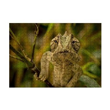 Cakapuzzle Dalda Boz Renkli Bukalemun 120 Parça Ahşap Puzzle