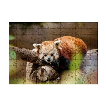 Cakapuzzle Dalda Dinlenen Kızıl Panda 120 Parça Ahşap Puzzle