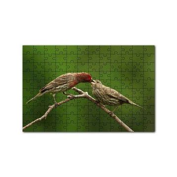Cakapuzzle Dalda Dişisini Besleyen Saka Kuşu 120 Parça Ahşap Puzzle