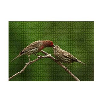Cakapuzzle Dalda Dişisini Besleyen Saka Kuşu 120 Parça Ahşap Puzzle