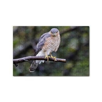 Cakapuzzle Dalda Etrafı Kolaçan Eden Doğan 120 Parça Ahşap Puzzle