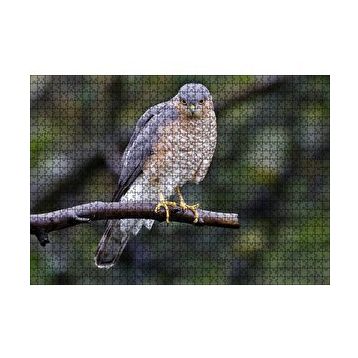 Cakapuzzle Dalda Etrafı Kolaçan Eden Doğan 120 Parça Ahşap Puzzle