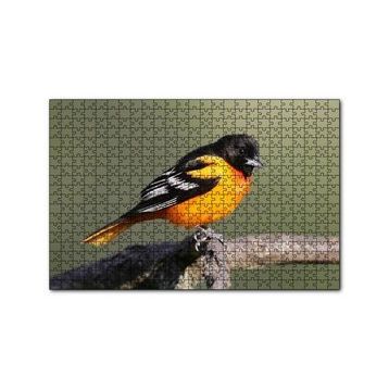 Cakapuzzle Dalda Turuncu Siyah Egzotik Kuş 120 Parça Ahşap Puzzle