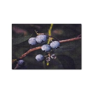 Cakapuzzle Dalda Yabanmersini Meyveleri 120 Parça Ahşap Puzzle