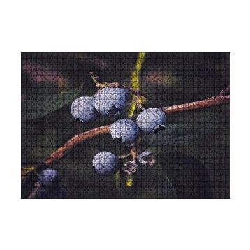 Cakapuzzle Dalda Yabanmersini Meyveleri 120 Parça Ahşap Puzzle