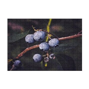 Cakapuzzle Dalda Yabanmersini Meyveleri 120 Parça Ahşap Puzzle