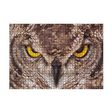 Cakapuzzle Daldaki Kartal Baykuşu ve Muhteşem Tüyleri Puzzle