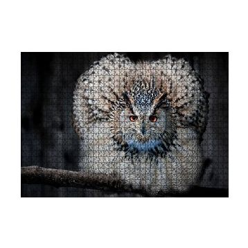 Cakapuzzle Daldaki Kartal Baykuşu ve Muhteşem Tüyleri Puzzle