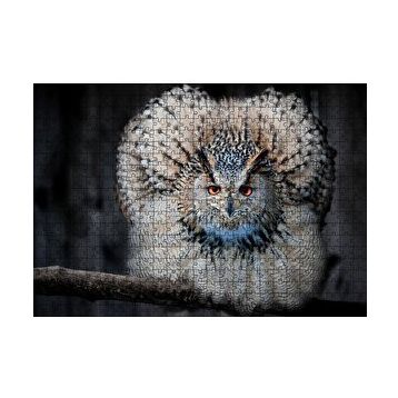 Cakapuzzle Daldaki Kartal Baykuşu ve Muhteşem Tüyleri Puzzle