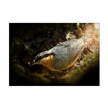 Cakapuzzle Daldaki Ötücü Kuş 120 Parça Ahşap Puzzle