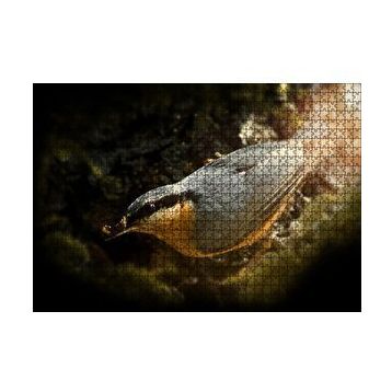 Cakapuzzle Daldaki Ötücü Kuş 120 Parça Ahşap Puzzle