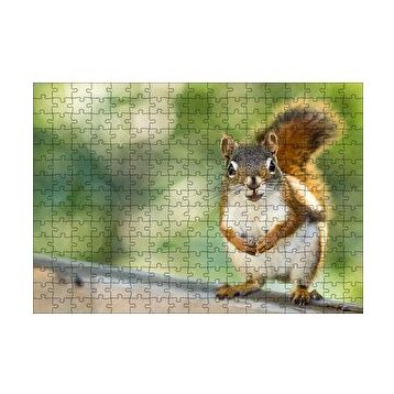 Cakapuzzle Daldaki Sevimli Küçük Sincap 120 Parça Ahşap Puzzle