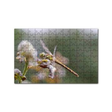 Cakapuzzle Daldaki Yusufçuk Yakın Çekim 120 Parça Ahşap Puzzle