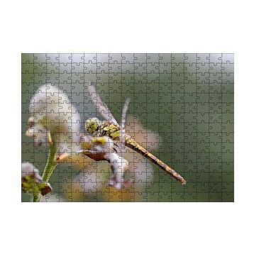 Cakapuzzle Daldaki Yusufçuk Yakın Çekim 120 Parça Ahşap Puzzle