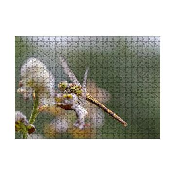 Cakapuzzle Daldaki Yusufçuk Yakın Çekim 120 Parça Ahşap Puzzle