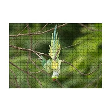 Cakapuzzle Daldan Aşağı Uçan Sarı Yeşil Papağan 120 Parça Ahşap Puzzle