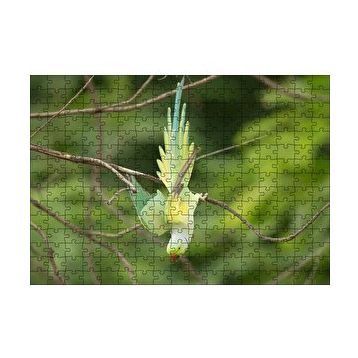 Cakapuzzle Daldan Aşağı Uçan Sarı Yeşil Papağan 120 Parça Ahşap Puzzle