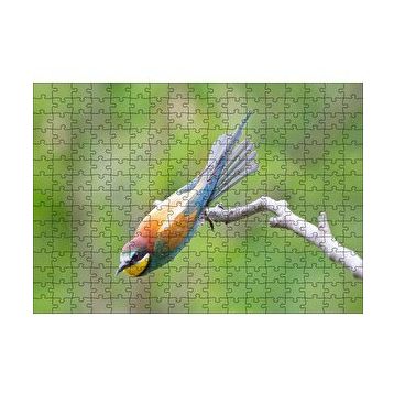 Cakapuzzle Daldan Ayrılmak Üzere Olan Rengarenk Kuş 120 Parça Ahşap Puzzle