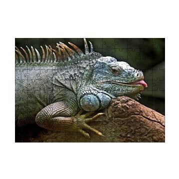 Cakapuzzle Dalın Üzerinde Dinlenen İguana 120 Parça Ahşap Puzzle