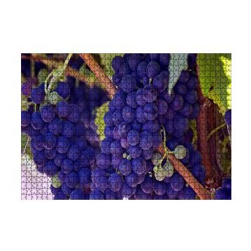 Cakapuzzle Dalında Şaraplık Kara Üzümler 120 Parça Ahşap Puzzle