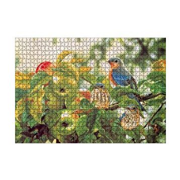 Cakapuzzle Dallarda Elmalar ve Renkli Kuşlar 120 Parça Ahşap Puzzle