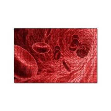 Cakapuzzle Damarların İçi ve Alyuvarlar 120 Parça Ahşap Puzzle