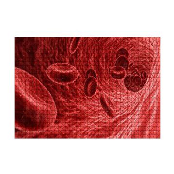 Cakapuzzle Damarların İçi ve Alyuvarlar 120 Parça Ahşap Puzzle