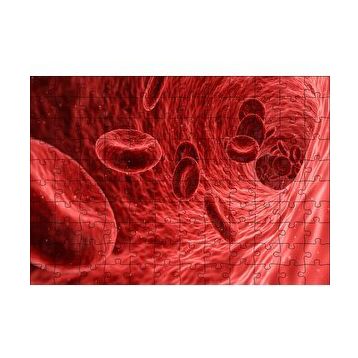 Cakapuzzle Damarların İçi ve Alyuvarlar 120 Parça Ahşap Puzzle