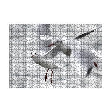 Cakapuzzle Deniz ve Martılar Puzzle