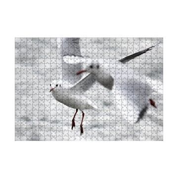 Cakapuzzle Deniz ve Martılar Puzzle